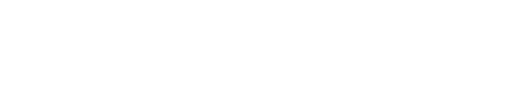 pirateguard_logo_white_500x110px